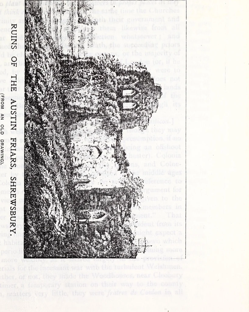 An illustration from Transactions of the Shropshire Archaeological and Natural History Society, 1907, leaf 306
