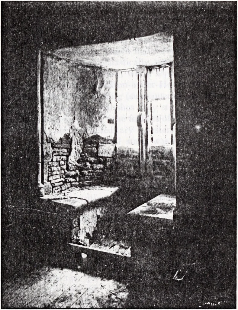 An illustration from Transactions of the Shropshire Archaeological and Natural History Society, 1907, leaf 356