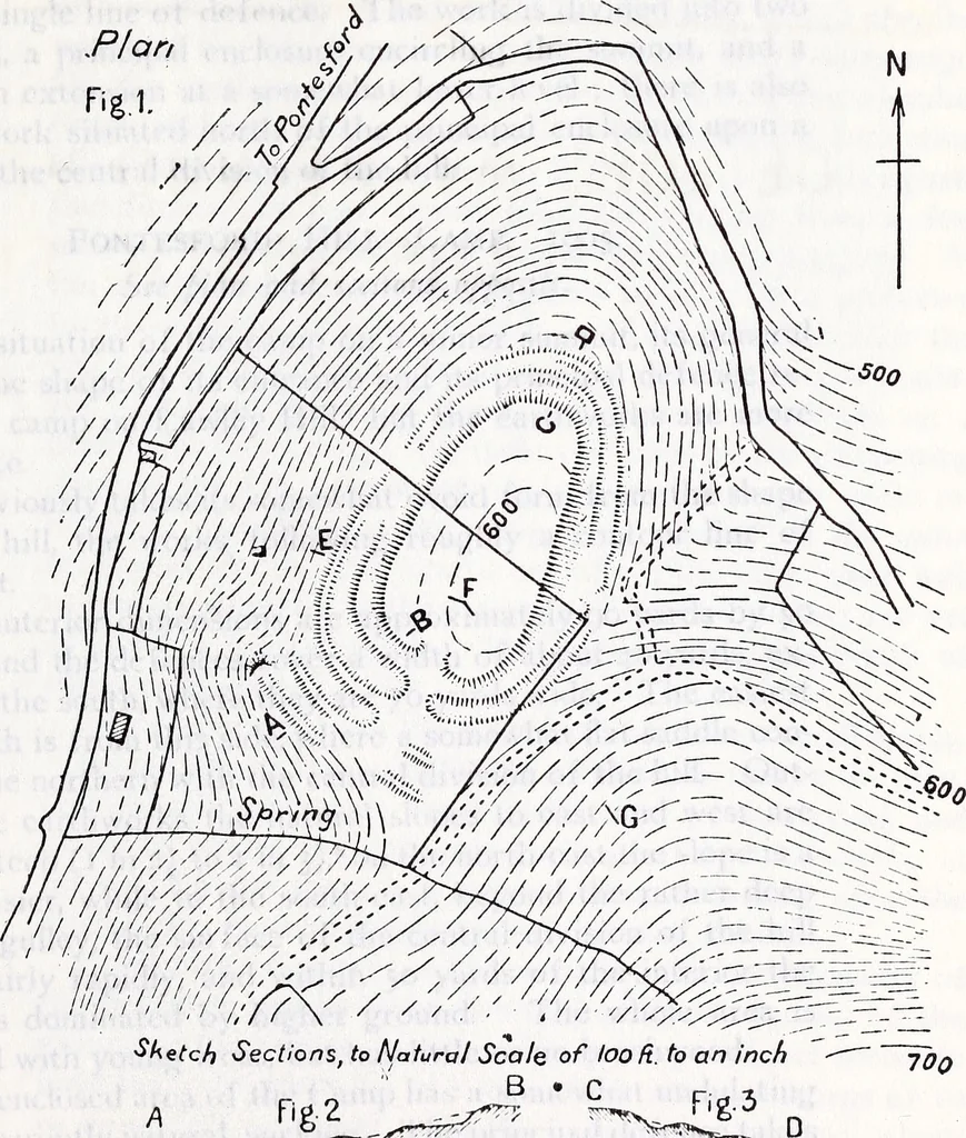An illustration from Transactions of the Shropshire Archaeological and Natural History Society, 1907, leaf 448