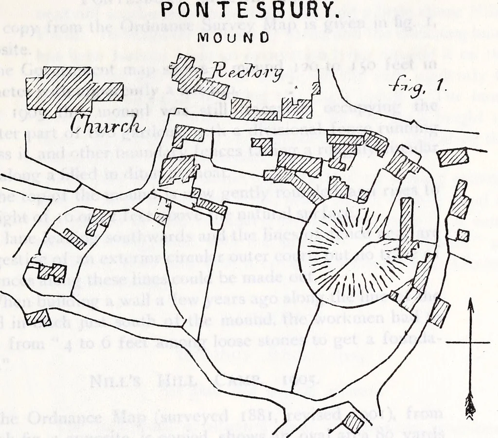 An illustration from Transactions of the Shropshire Archaeological and Natural History Society, 1907, leaf 466