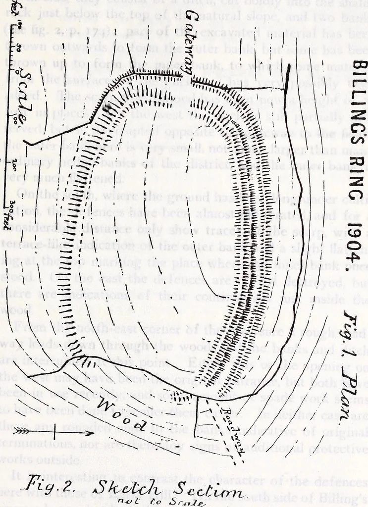 An illustration from Transactions of the Shropshire Archaeological and Natural History Society, 1907, leaf 472