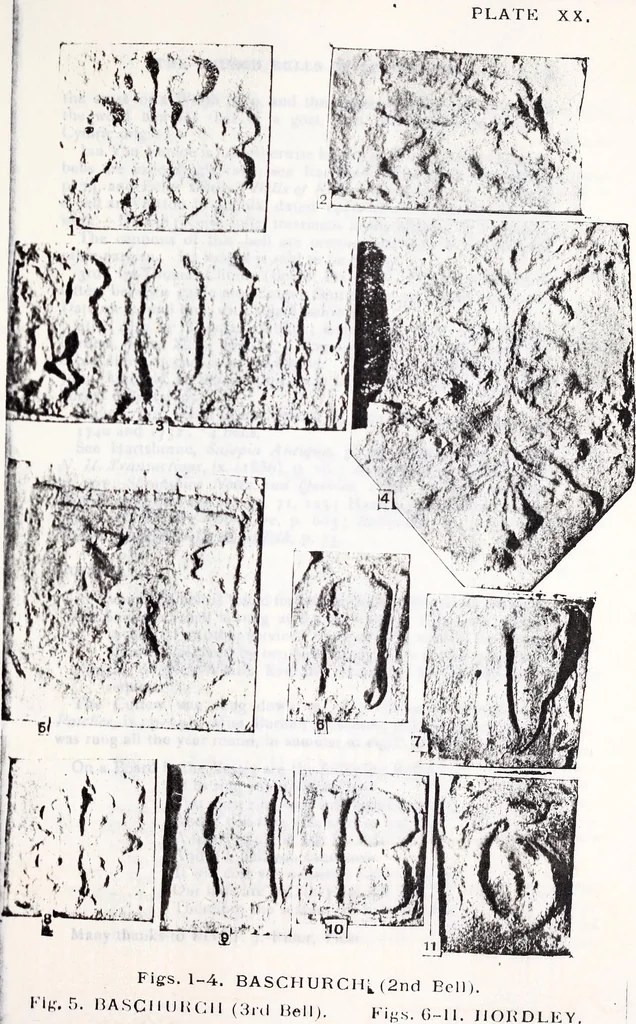 An illustration from Transactions of the Shropshire Archaeological and Natural History Society, 1907, leaf 76