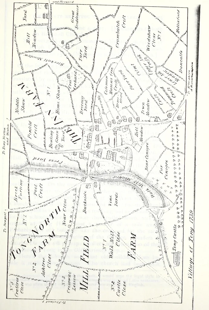 An illustration from Transactions of the Shropshire Archaeological and Natural History Society, 1908, leaf 440