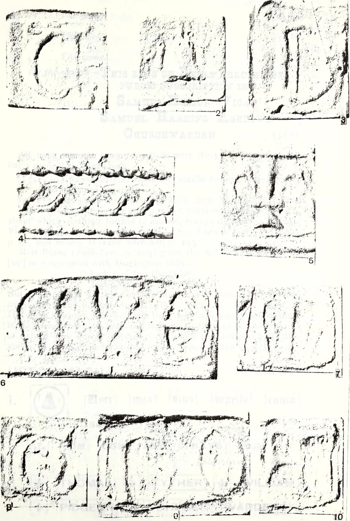 An illustration from Transactions of the Shropshire Archaeological and Natural History Society, 1909, leaf 110