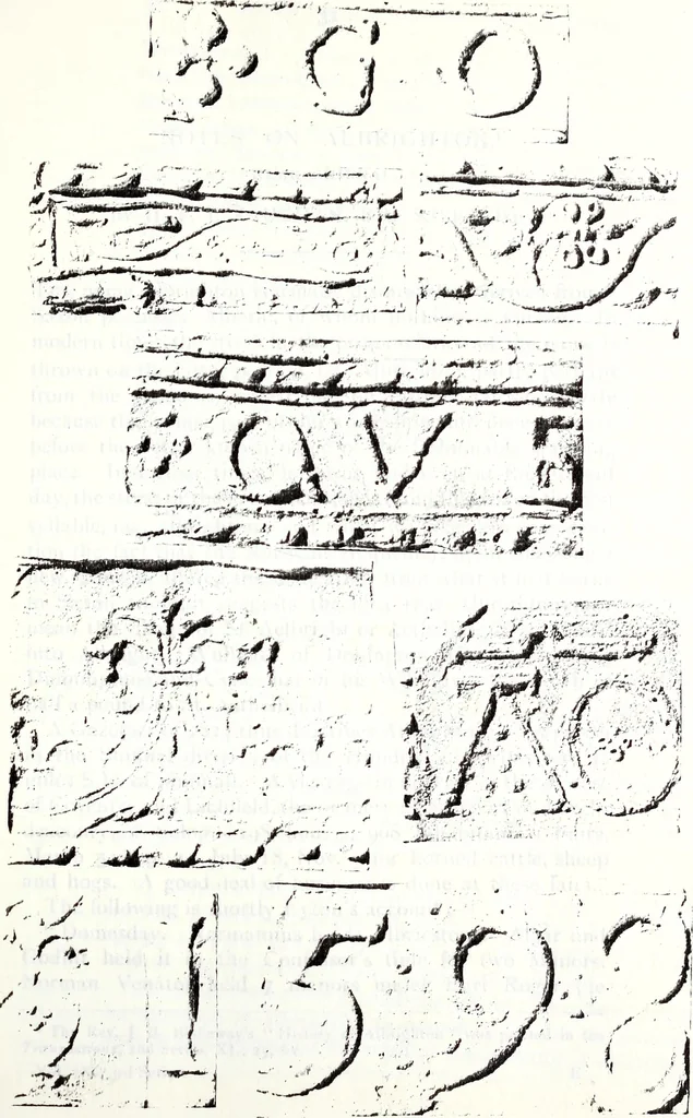 An illustration from Transactions of the Shropshire Archaeological and Natural History Society, 1909, leaf 128