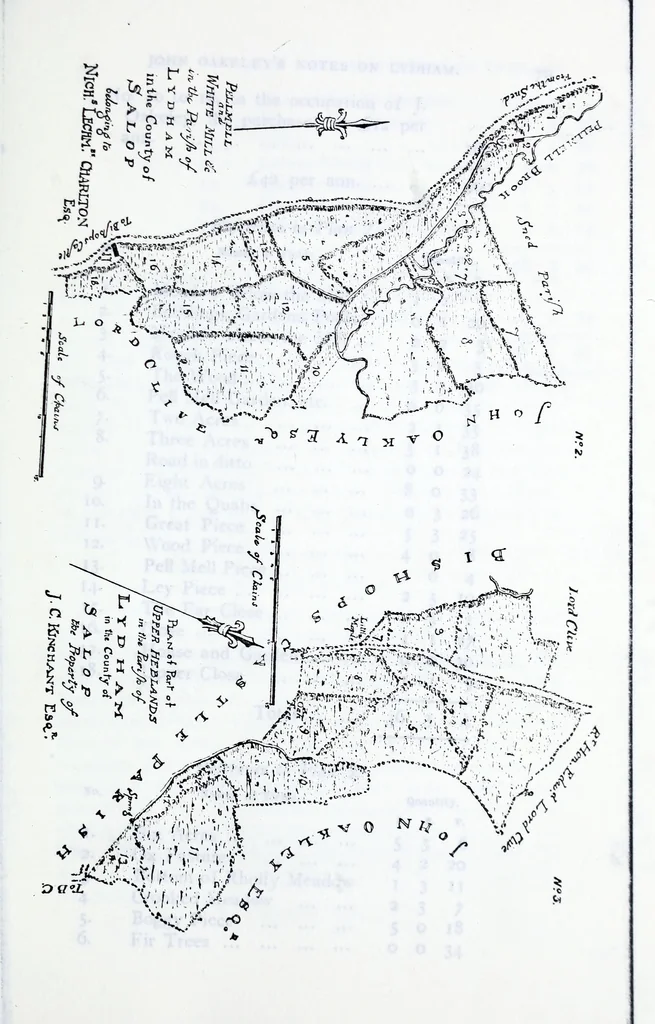 An illustration from Transactions of the Shropshire Archaeological and Natural History Society, 1914, leaf 220