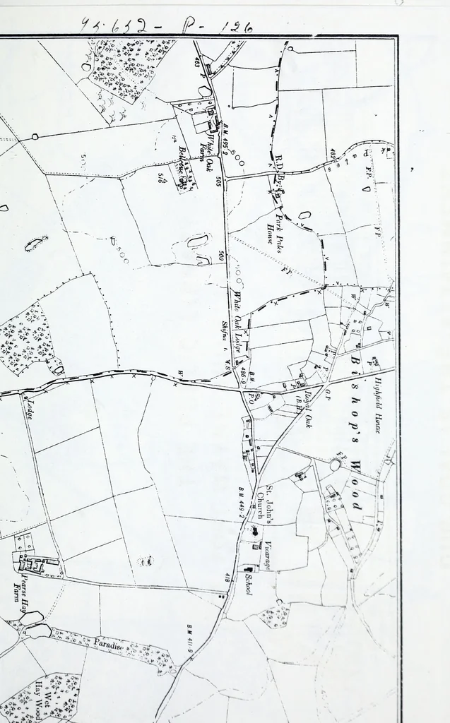 An illustration from Transactions of the Shropshire Archaeological and Natural History Society, 1916, leaf 310