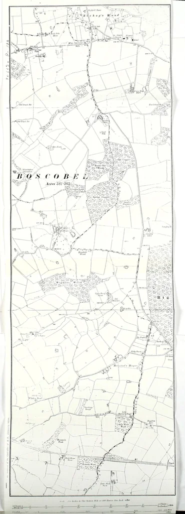 An illustration from Transactions of the Shropshire Archaeological and Natural History Society, 1916, leaf 312