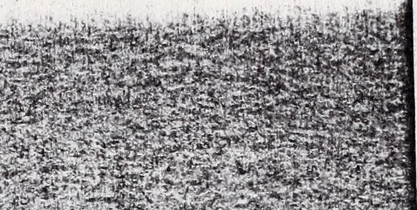 An illustration from Transactions of the Shropshire Archaeological and Natural History Society, 1920, leaf 740