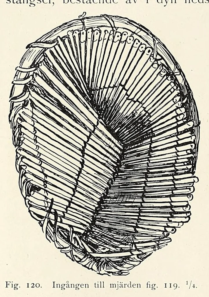 An illustration from Träskfolket; Svenska Rhodesia-Kongo-expeditionenes etnografiska, 1916, leaf 228