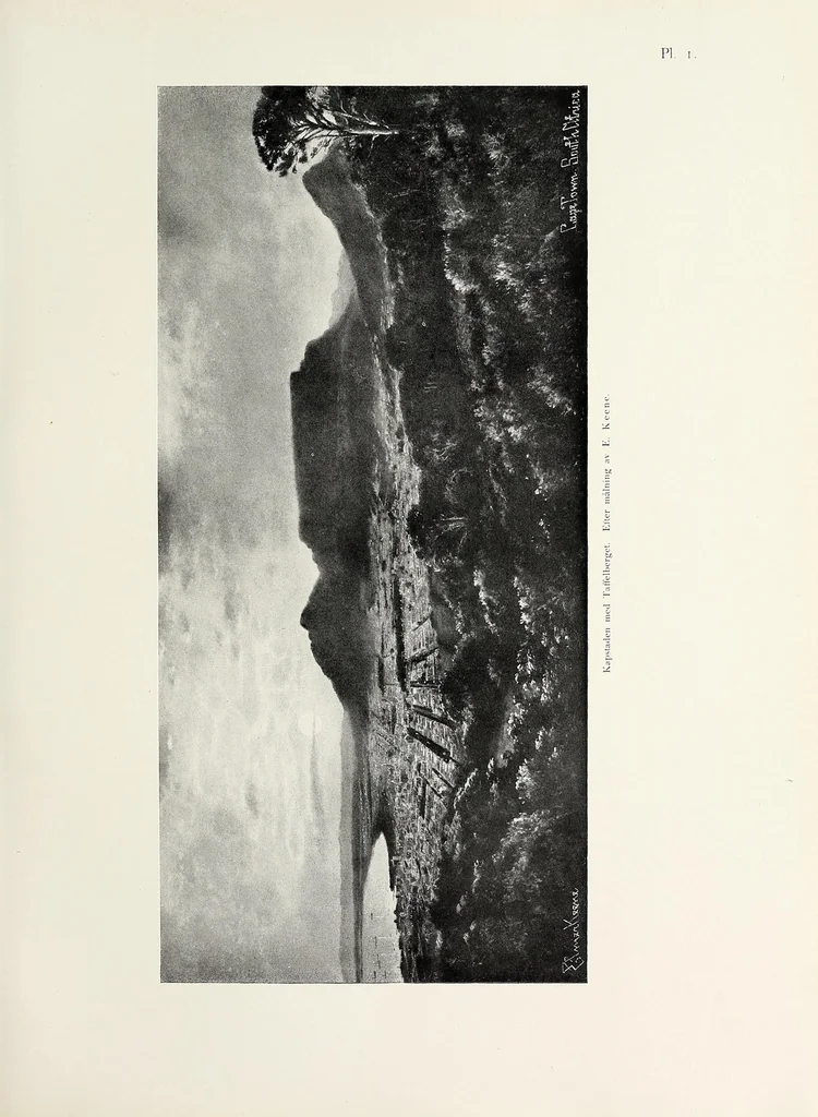 An illustration from Träskfolket; Svenska Rhodesia-Kongo-expeditionenes etnografiska, 1916, leaf 35
