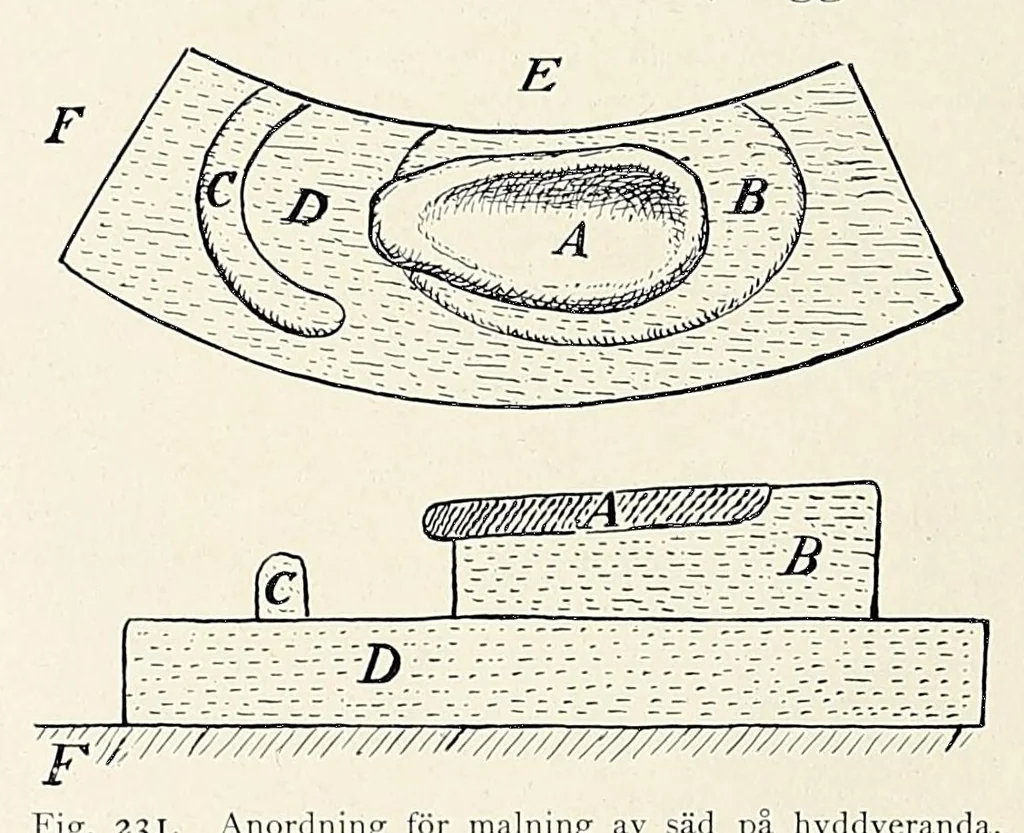 An illustration from Träskfolket; Svenska Rhodesia-Kongo-expeditionenes etnografiska, 1916, leaf 350