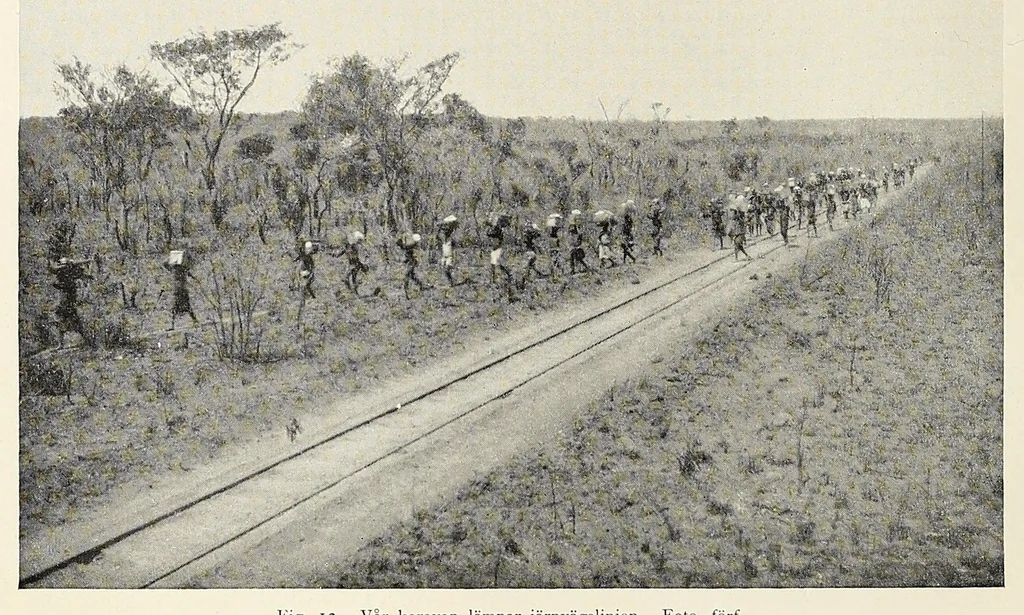 An illustration from Träskfolket; Svenska Rhodesia-Kongo-expeditionenes etnografiska, 1916, leaf 80