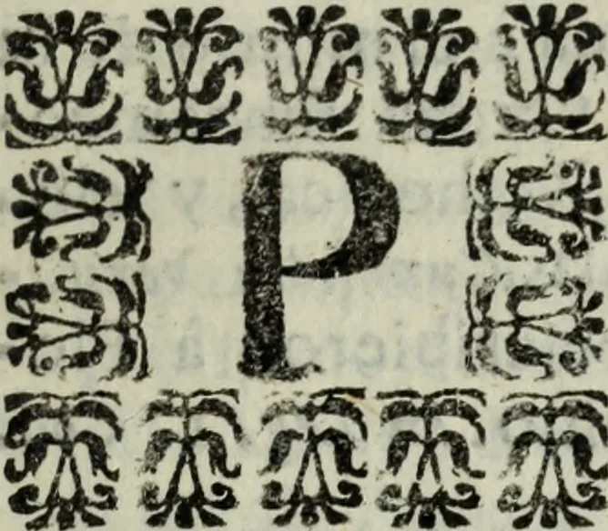 An illustration from Tratado de medias annatas de los beneficios, prestamos, y capellanias, &c, 1698, leaf 28