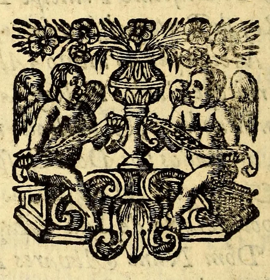 An illustration from Tratado de pazes, entre os serenissimos e poderosissimos, principes D. Carlos II. Rey catholico. e D. Afonso VI. Rey de Portugal, : feito, e concluso no convento de sancto eloy da cidade de Lisboa, aos 13. de fevereiro de 1668. Sendo mediator o serenissimo, e poderosissimo principe Carlos II. Rey da Gram Bretanha, 1668, leaf 16