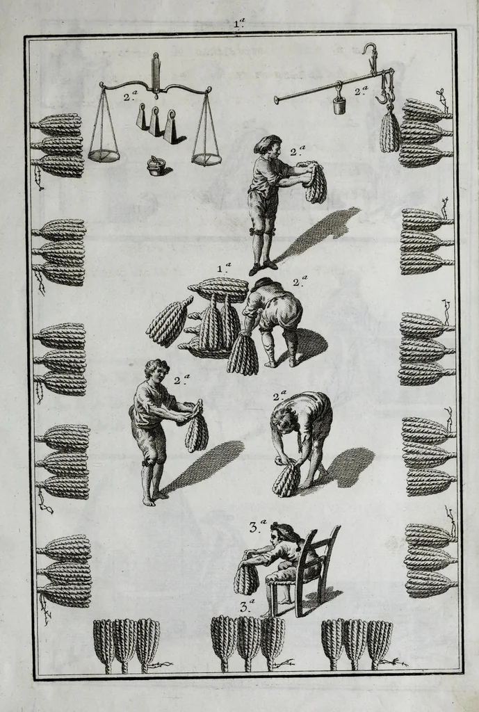 An illustration from Tratado instructivo, y práctico, sobre el arte de la tintura : reglas experimentadas y metódicas para tintar sedas, lanas, hilos de todas clases, y esparto en rama, 1778, leaf 291