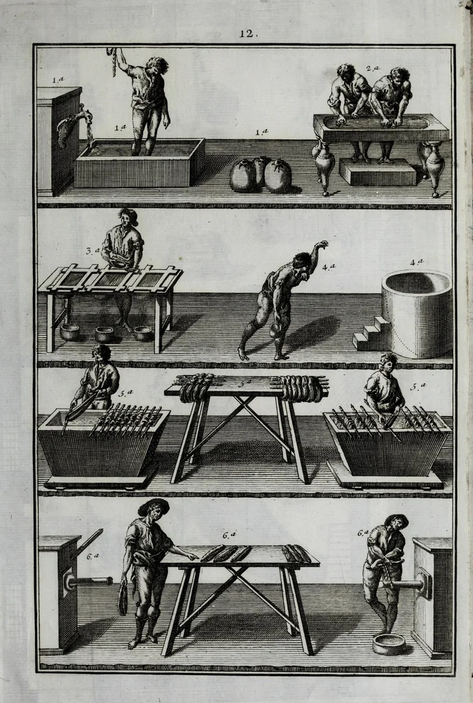 An illustration from Tratado instructivo, y práctico, sobre el arte de la tintura : reglas experimentadas y metódicas para tintar sedas, lanas, hilos de todas clases, y esparto en rama, 1778, leaf 313