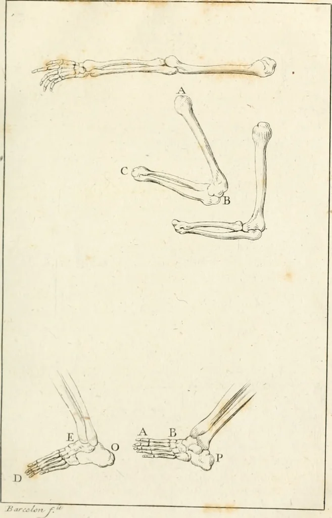 An illustration from El tratado de la pintura, 1784, leaf 138