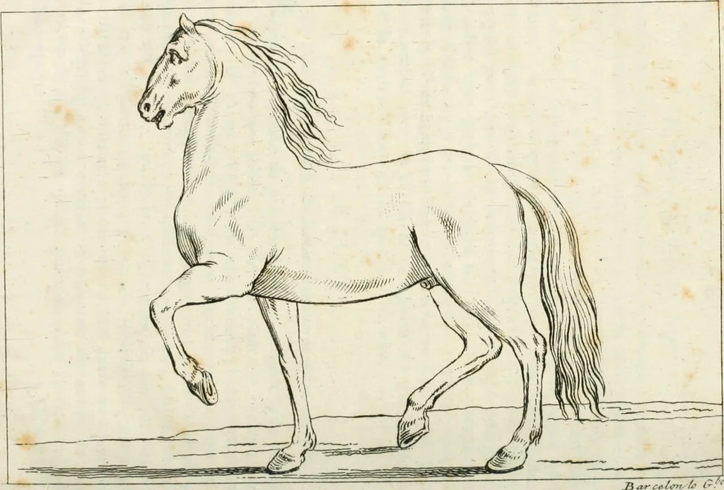 An illustration from El tratado de la pintura, 1784, leaf 197
