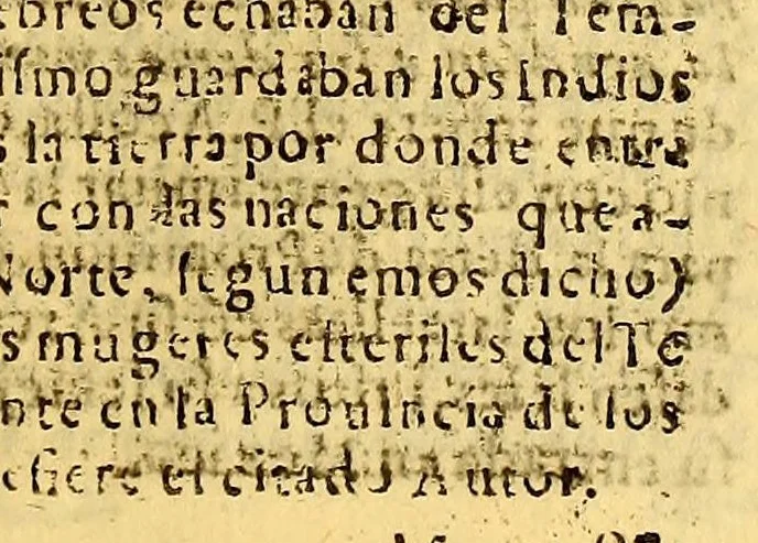 An illustration from Tratado vnico, y singular del origen de los indios occidentales del Piru, Mexico, Santa Fè, y Chile.., 1681, leaf 121