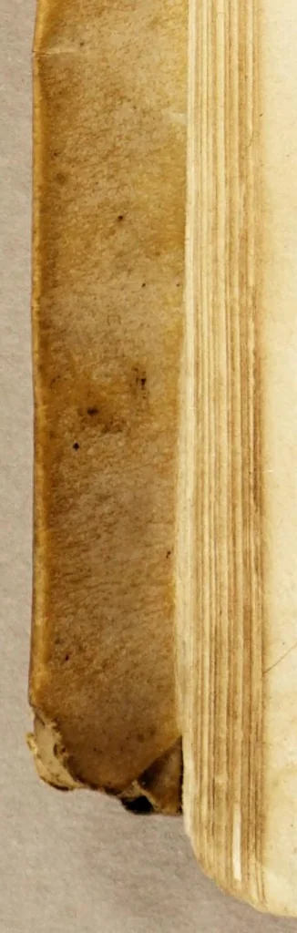 An illustration from Tratos y contratos de mercaderes y tratantes discididos y determinados,, 1569, leaf 188