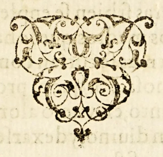 An illustration from Tratos y contratos de mercaderes y tratantes discididos y determinados,, 1569, leaf 21