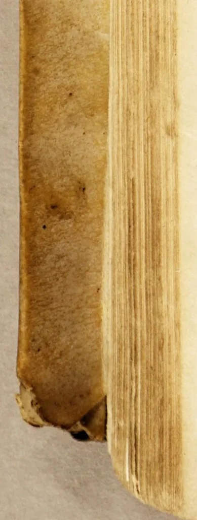 An illustration from Tratos y contratos de mercaderes y tratantes discididos y determinados,, 1569, leaf 286