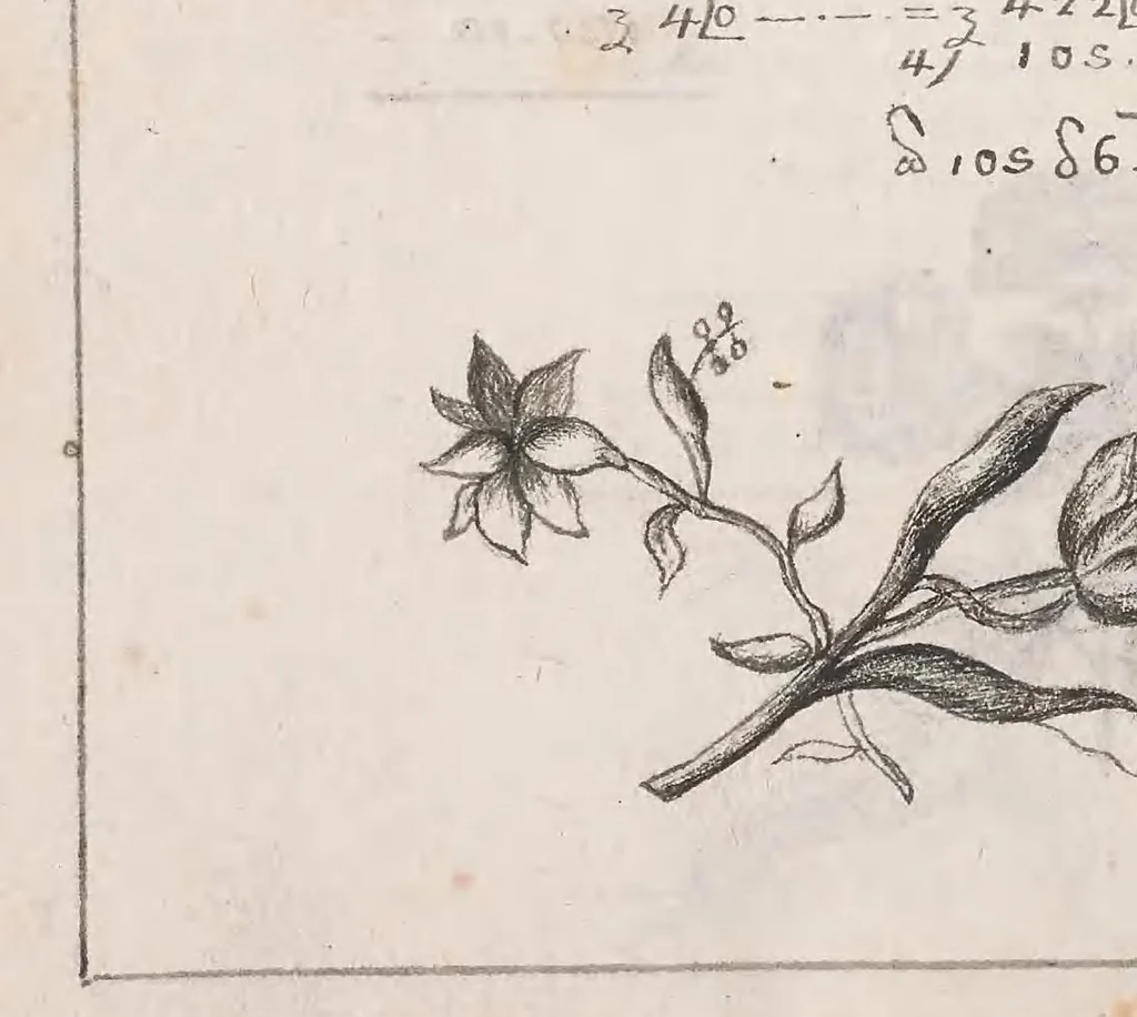 An illustration from Trattato d'aritmetica, 1700, leaf 30