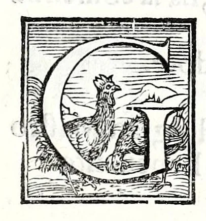 An illustration from Trattato de gli huomini illvstri di Bologna : diviso in tre parti : nella prima parte si contegono i prelati, nella seconda i titolari, & nella terza i dottori, i caualieri, i capitani, et il senato, 1590, leaf 121