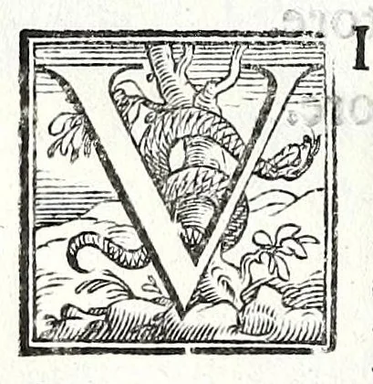 An illustration from Trattato de gli huomini illvstri di Bologna : diviso in tre parti : nella prima parte si contegono i prelati, nella seconda i titolari, & nella terza i dottori, i caualieri, i capitani, et il senato, 1590, leaf 124
