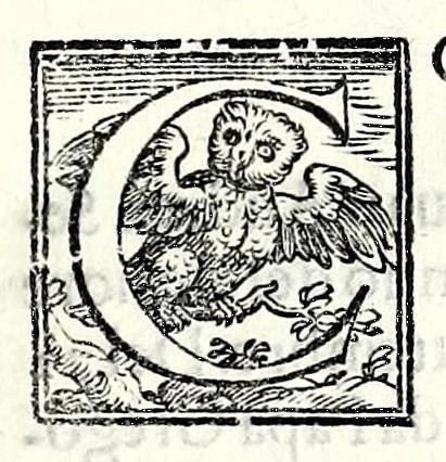 An illustration from Trattato de gli huomini illvstri di Bologna : diviso in tre parti : nella prima parte si contegono i prelati, nella seconda i titolari, & nella terza i dottori, i caualieri, i capitani, et il senato, 1590, leaf 33
