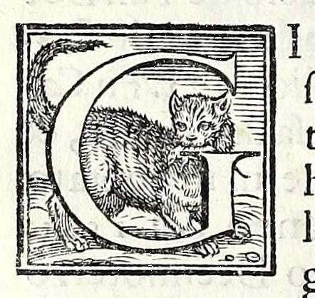 An illustration from Trattato de gli huomini illvstri di Bologna : diviso in tre parti : nella prima parte si contegono i prelati, nella seconda i titolari, & nella terza i dottori, i caualieri, i capitani, et il senato, 1590, leaf 46