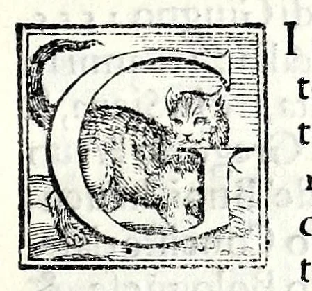 An illustration from Trattato de gli huomini illvstri di Bologna : diviso in tre parti : nella prima parte si contegono i prelati, nella seconda i titolari, & nella terza i dottori, i caualieri, i capitani, et il senato, 1590, leaf 53