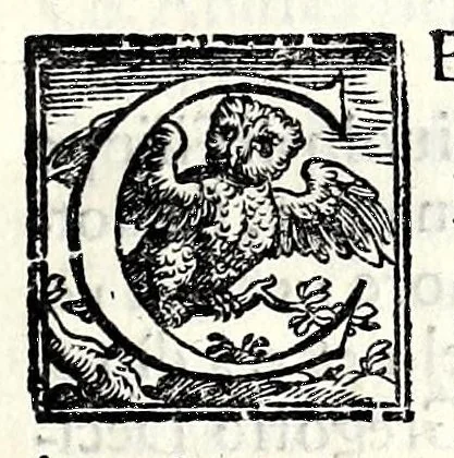 An illustration from Trattato de gli huomini illvstri di Bologna : diviso in tre parti : nella prima parte si contegono i prelati, nella seconda i titolari, & nella terza i dottori, i caualieri, i capitani, et il senato, 1590, leaf 61