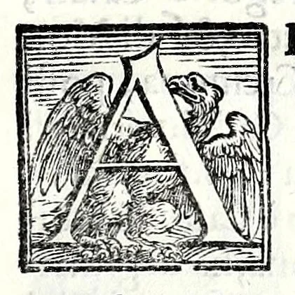 An illustration from Trattato de gli huomini illvstri di Bologna : diviso in tre parti : nella prima parte si contegono i prelati, nella seconda i titolari, & nella terza i dottori, i caualieri, i capitani, et il senato, 1590, leaf 99