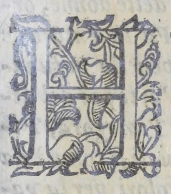 An illustration from Trattato de i colori nelle arme, nelle livree, et nelle divise, 1606, leaf 31