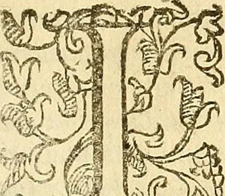 An illustration from Trattato della natura de'cibi et del bere / del sig. Baldassare Pisanelli, medico Bolognese, 1586, leaf 156