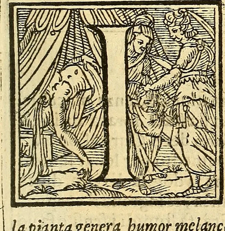 An illustration from Trattato della natura de'cibi et del bere / del sig. Baldassare Pisanelli, medico Bolognese, 1586, leaf 62