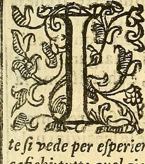 An illustration from Trattato della natura de'cibi et del bere / del sig. Baldassare Pisanelli, medico Bolognese, 1586, leaf 92