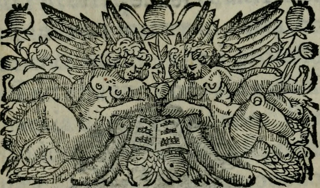 An illustration from Trattato della pittura : fondato nell'auttorità di molti eccellenti in questa professione, 1642, leaf 13