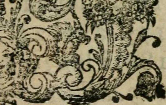 An illustration from Trattato della pittura : fondato nell'auttorità di molti eccellenti in questa professione, 1642, leaf 252