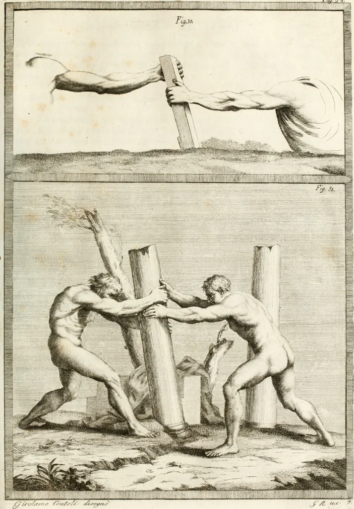 An illustration from Trattato della pittura, 1786, leaf 108