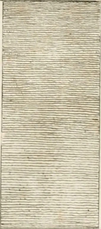 An illustration from Trattato della pittura, 1786, leaf 126