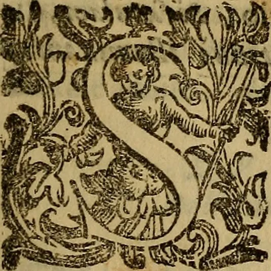 An illustration from Trattato della pittura e scultura, uso et abuso loro, 1652, leaf 20