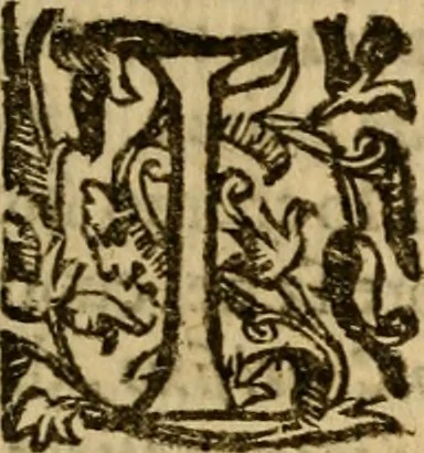An illustration from Trattato della pittura e scultura, uso et abuso loro, 1652, leaf 293
