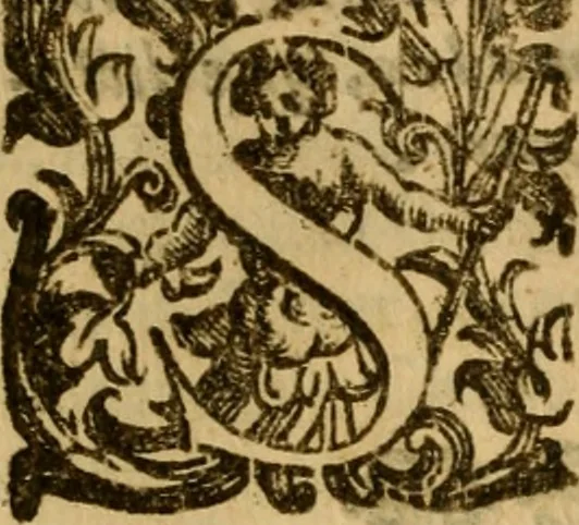 An illustration from Trattato della pittura e scultura, uso et abuso loro, 1652, leaf 387