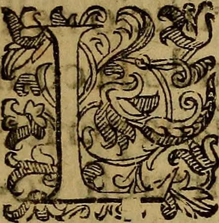 An illustration from Trattato della pittura e scultura, uso et abuso loro, 1652, leaf 6