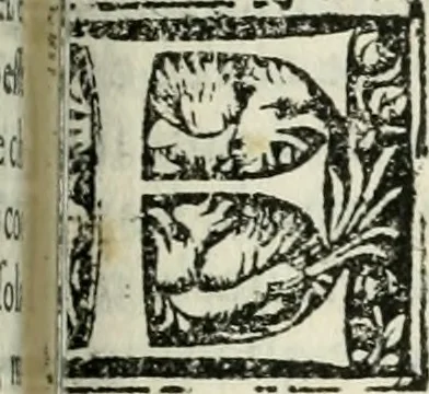 An illustration from Trattato dell'arte della pittvra, scoltvra, et architettvra di Gio. Paolo Lomazzo milanese pittore : diuiso in sette libri, ne' qvali si discorre de la proportione, de' moti, de' colori, de' lumi, de la prospettiua, de la prattica de la pittura, et finalmente de le istorie d'essa pittura : con vna tauola de'nomi de tutti li pittori, scoltori, architetti, & matematici antichi & moderni, 1584, leaf 290