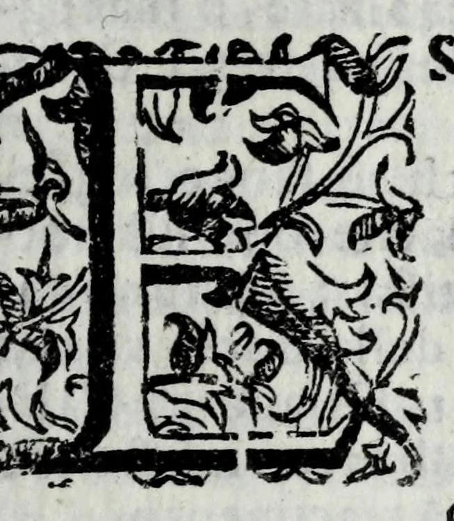 An illustration from Trattato dell' artiglieria, 1672, leaf 29