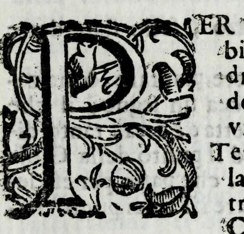 An illustration from Trattato dell' artiglieria, 1672, leaf 73